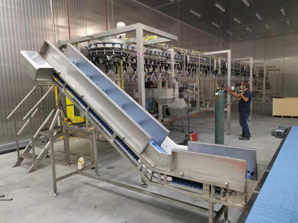 Poultry Processing Conveyor Application