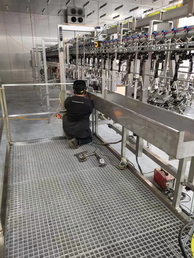 Poultry Processing Conveyor Application 3
