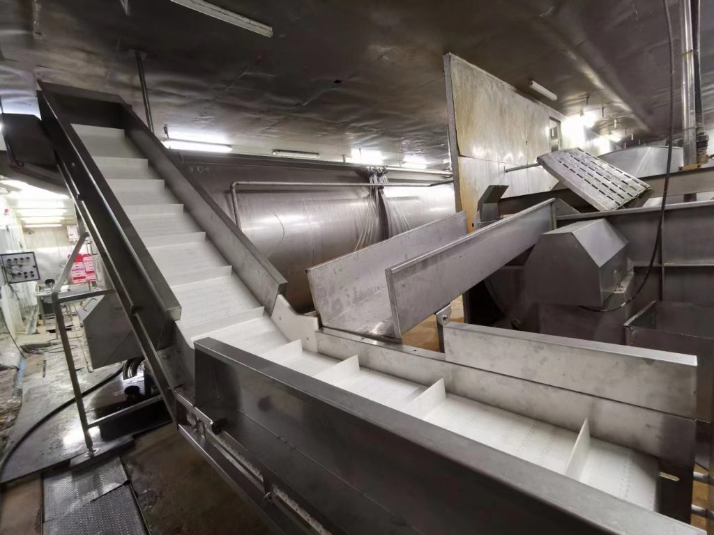 Poultry Processing Conveyor Application 4