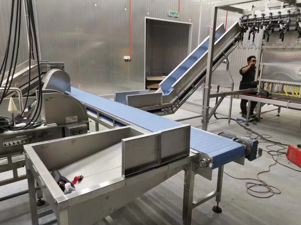 Poultry Processing Conveyor Application 5