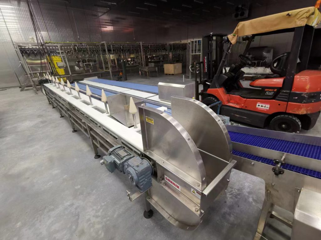 Poultry Processing Conveyor Application 6
