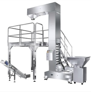 Rice Grain Lifting Conveyor Application 2